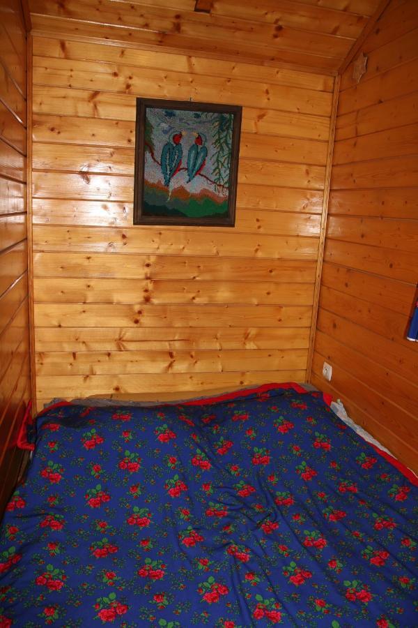Domek Pod Zielonym Lasem Zakopane Exterior foto